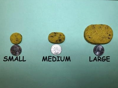 Blueberry Dog Treats